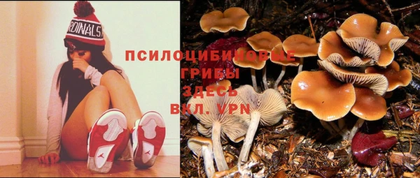 не бодяженный Волосово