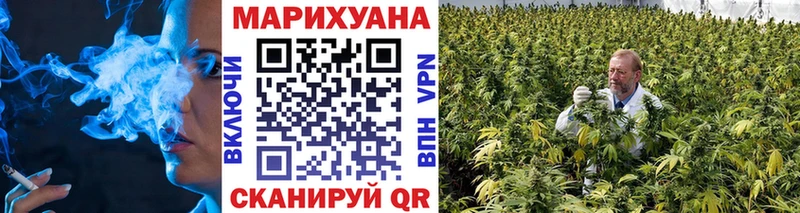 купить закладку  Сураж  Бошки Шишки SATIVA & INDICA 